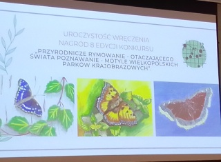 „Przyrodnicze rymowanie - otaczającego świata poznawanie – motyle wielkopolskich parków krajobrazowych” – 2022